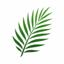 Hosanna Web Solutions